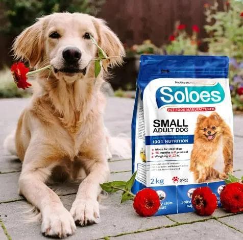 the-role-of-protein-in-your-pet-s-diet