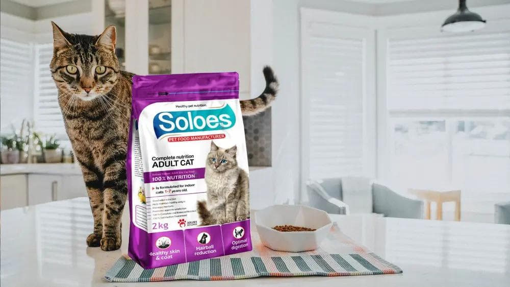 raw-food-diets-benefits-and-risks-for-your-pet