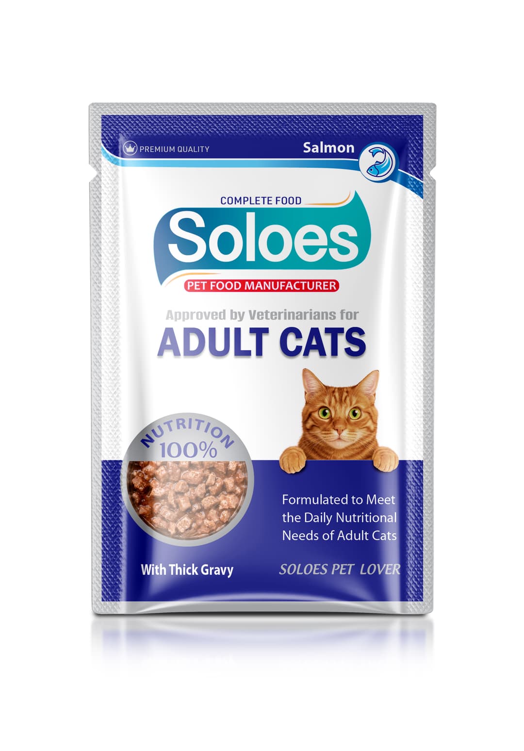 Soloes Wet Cat Food with Salmon in Pouch